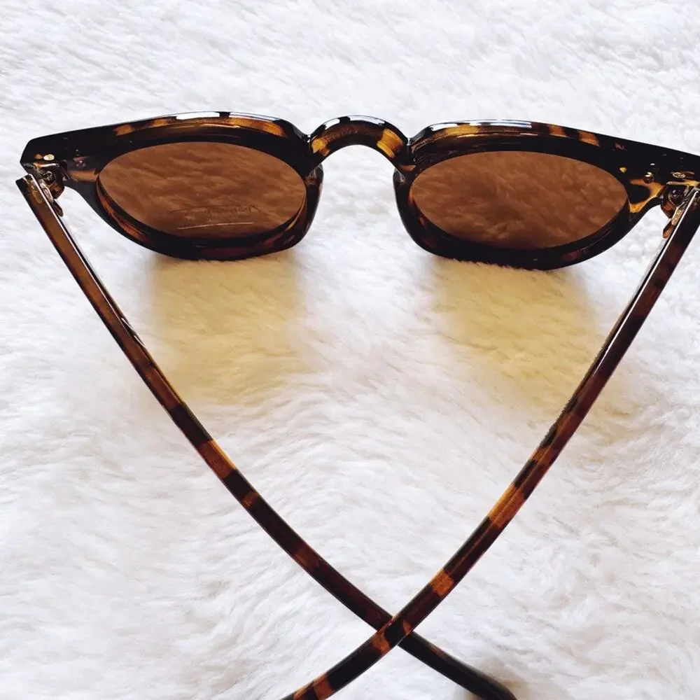 Pablo Tortoise Brown Round Sunglasses